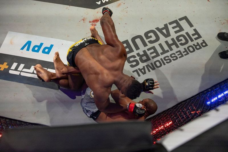 two men are wrestling in front of a sign that says professional fighters league