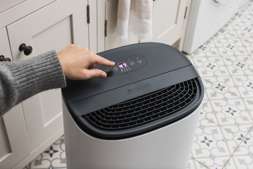 Using a dehumidifier with a laundry mode can speed up the drying time of your washing