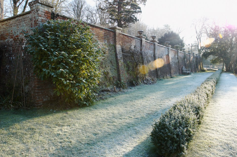 O’Neill said terracotta pots shouldn't be kept on the ground in cold weather (stock image)