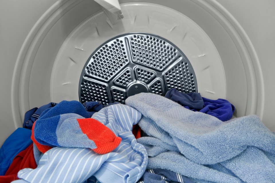 Richards said a dry towel should be put in the dryer to help absorb water (stock image)