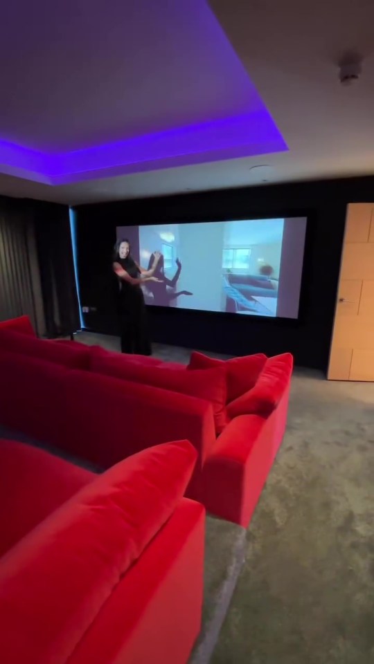 a man is standing in front of a large screen in a home theater .