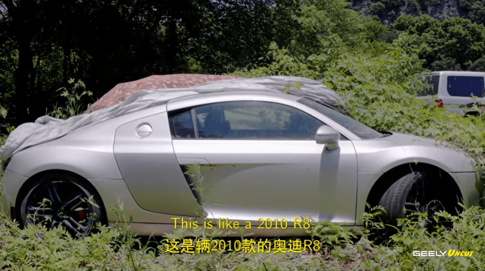 The impressive Audi R8 had clearly been parked up for many years, with plants growing around it