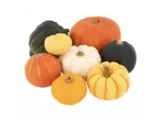 a bunch of different types of pumpkins and squash on a white background .