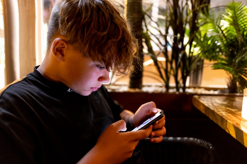 Safeguarding experts shared their top tips for protecting your child online (stock image)