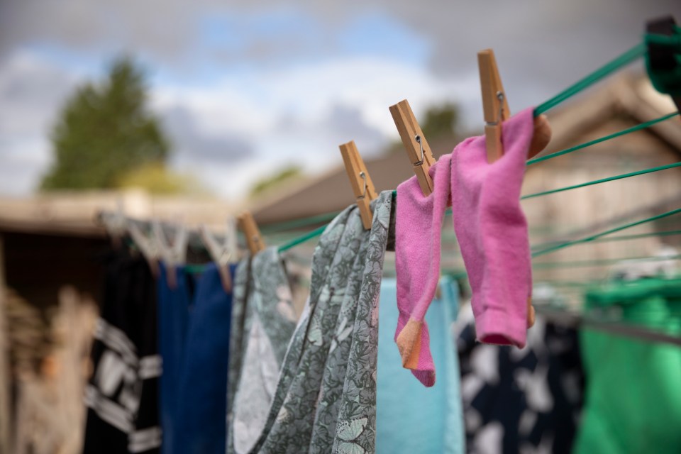 The pros also suggested drying washing outside where possible