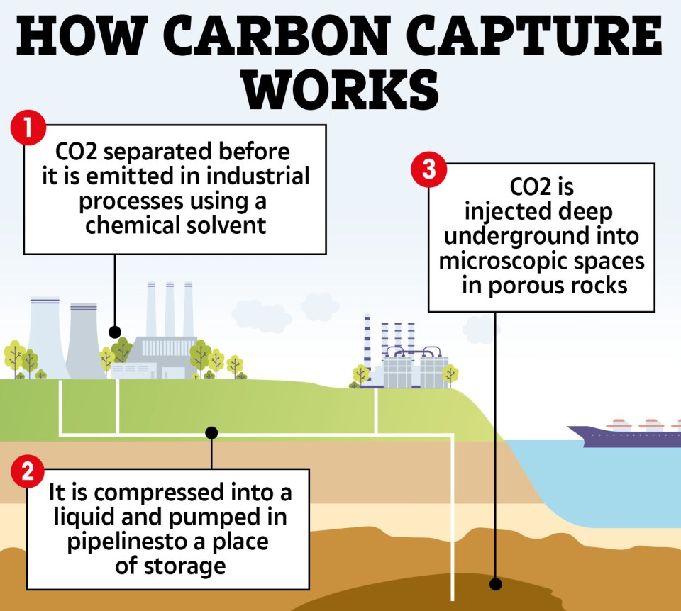 a diagram showing how carbon capture works