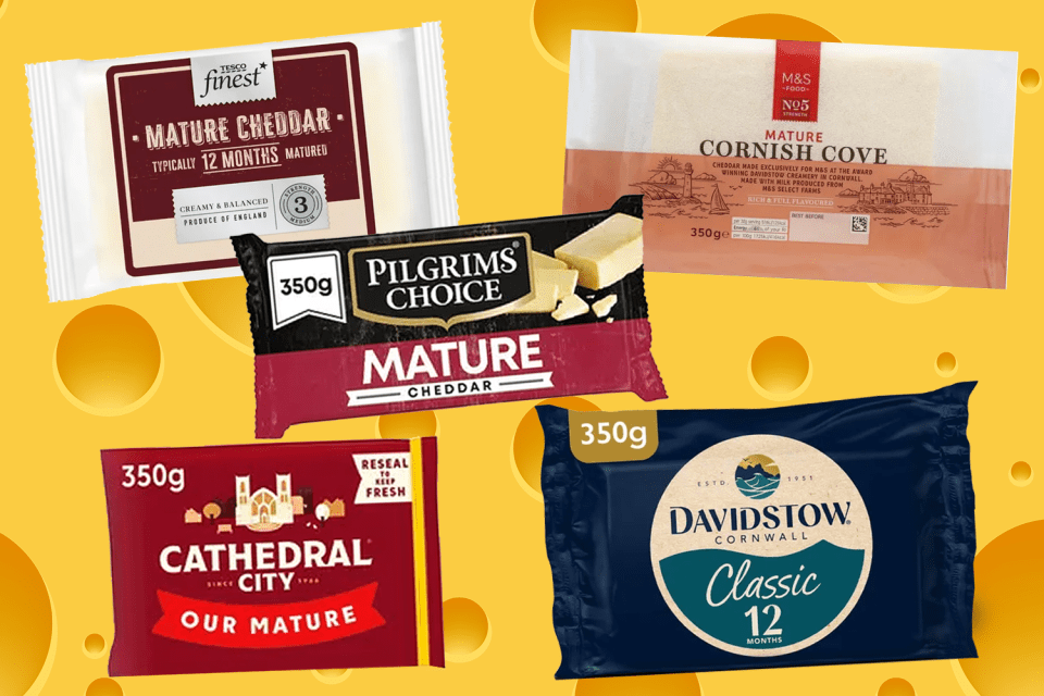 several packages of cheese including pilgrim 's choice and cathedral city