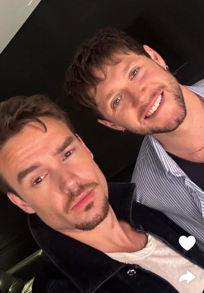 Liam Payne and Niall Horan reunite after Liam flew over to see Niall in concert in Buenos Aires, Argentina., October 2024