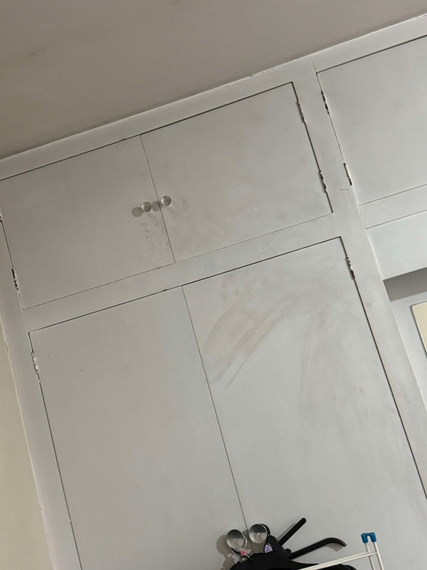 a white cabinet with a spider on it