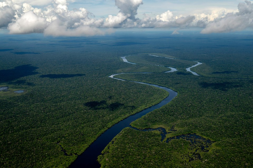 an aerial view of a river running through a lush green forest