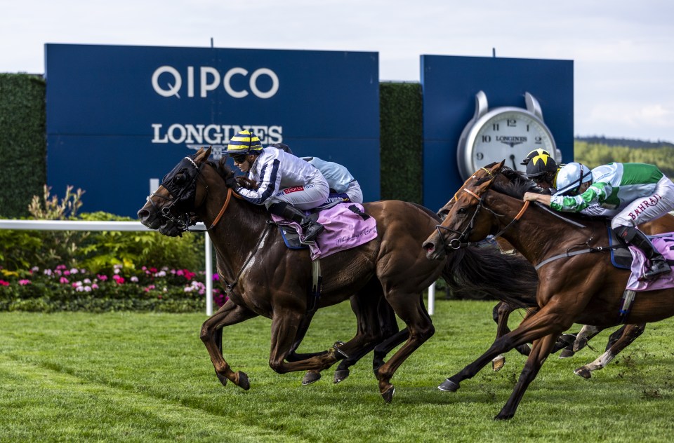 A police officer has quit in disgrace after getting wildly drunk and taking cocaine at Ascot