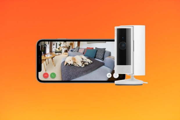 a phone shows a dog laying on a couch next to a camera