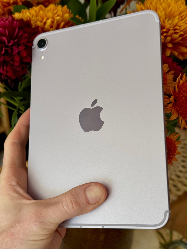 a person is holding an apple ipad in front of flowers