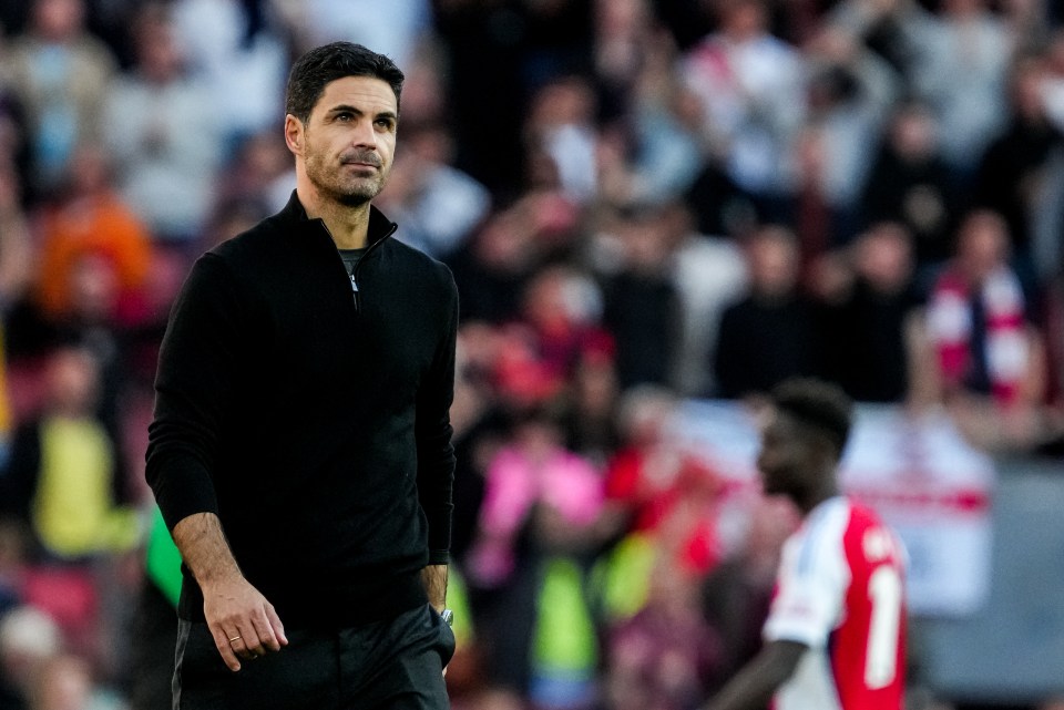 a man in a black sweater stands on a soccer field