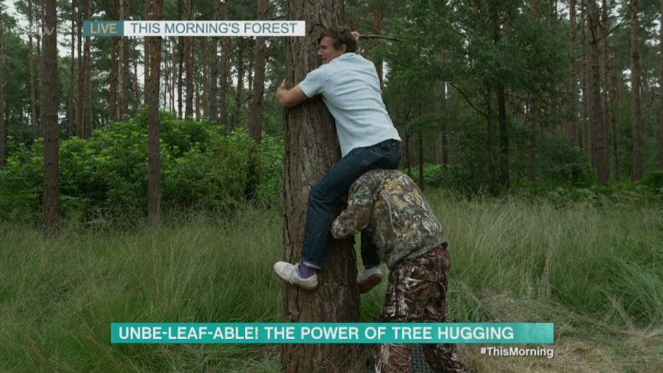 Will Best jumps on a man's shoulders while trying to hug a tree in the This Morning forest