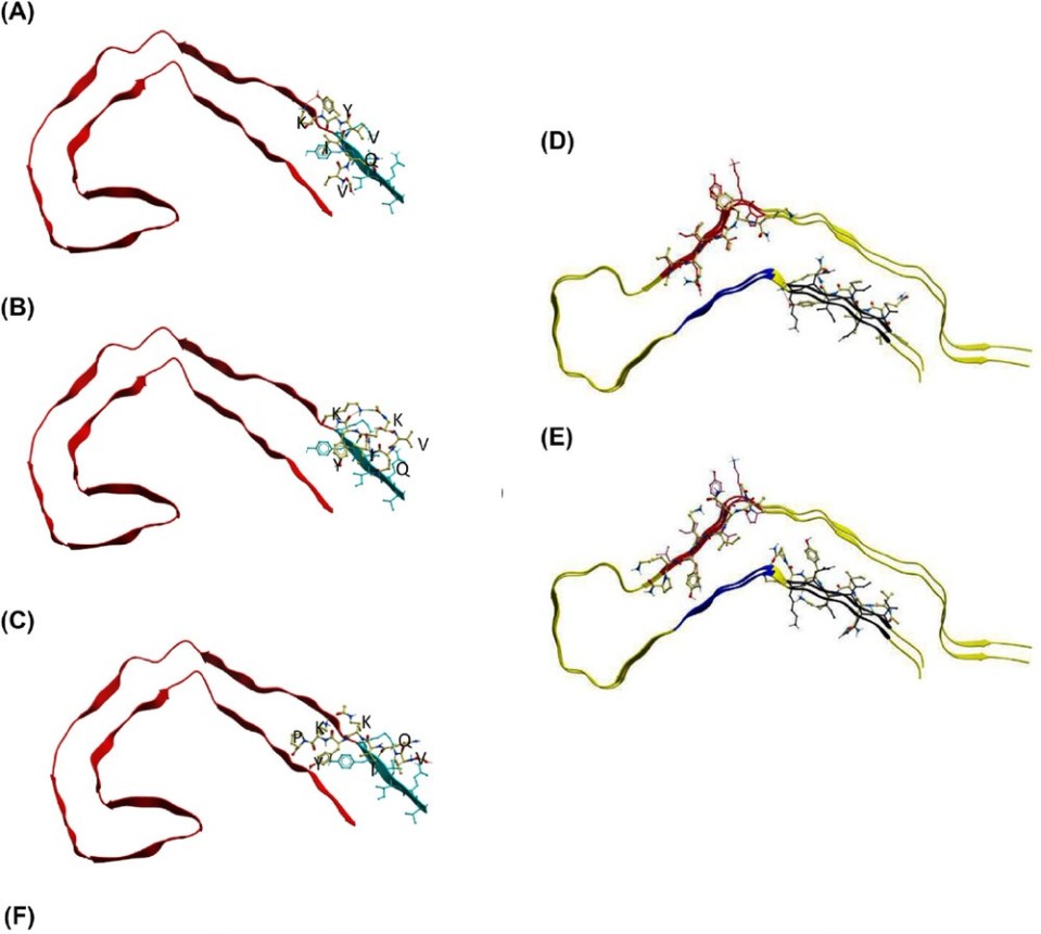 The drug - called RI-AG03 - targets spots in the brain that promote the abnormal buildup of tau