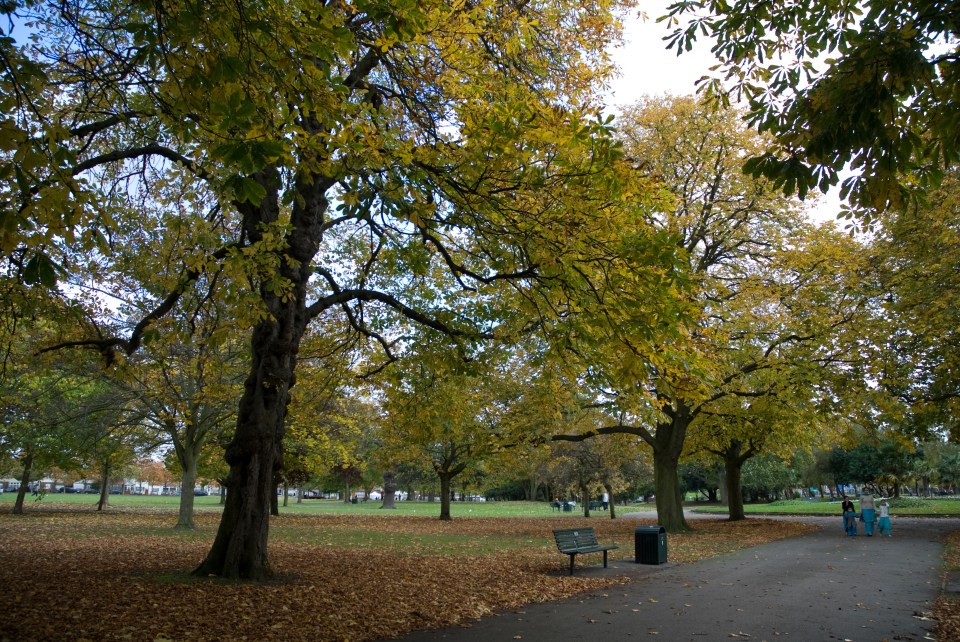 Mohamed Iidow is on trial accused of rape and manslaughter in Southall Park, west London