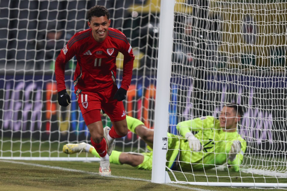 Brennan Johnson celebrates his Wales opener but the hosts fought back