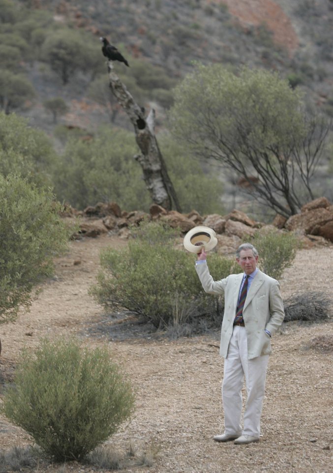 The future monarch poses in front of a wedge-tailed eagle in Alice Springs in 2005