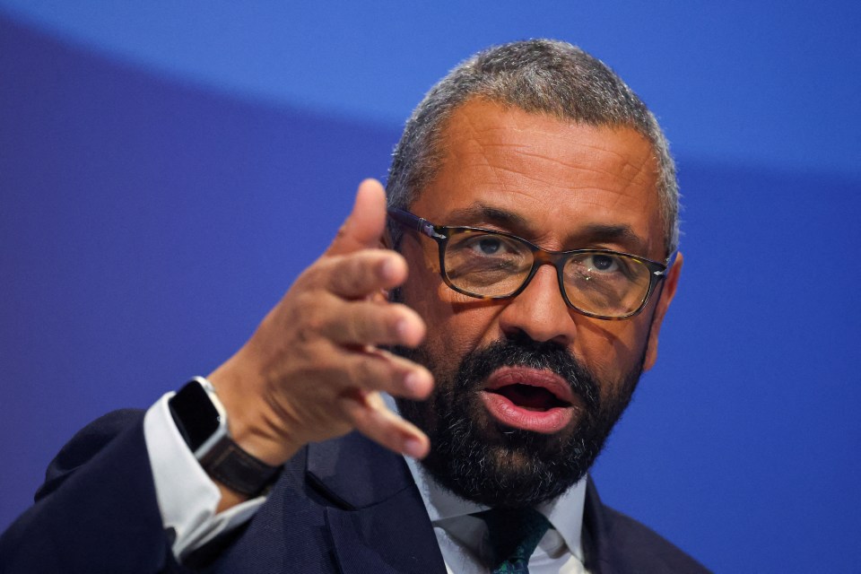 Ex-Foreign Secretary James Cleverly hauled ministers over the coals over the row