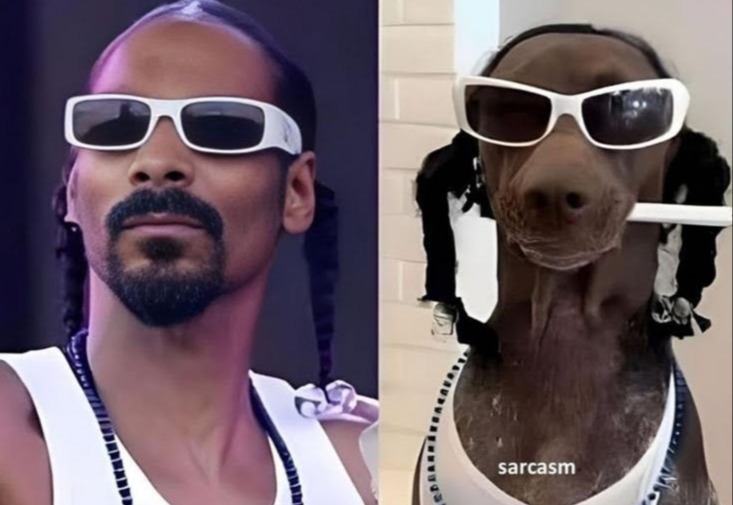 the dog looks more snoop then the actual snoop