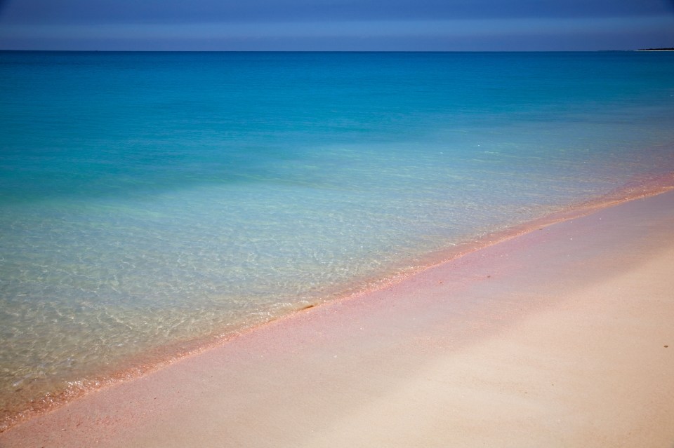 Barbuda is known for its Pink Sand Beach