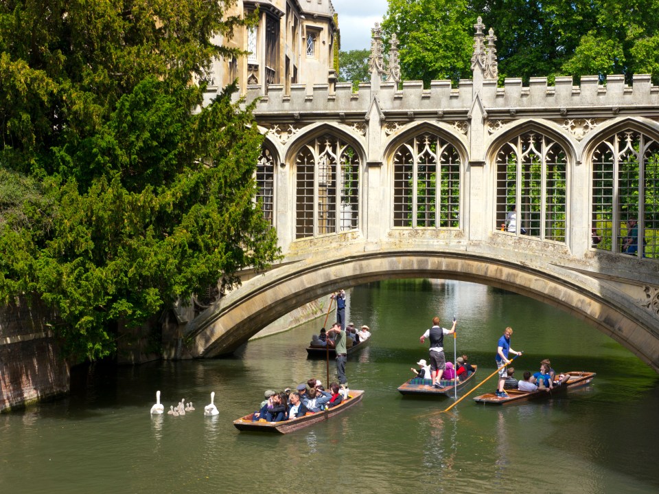 a group of people are rowing boats under a bridge