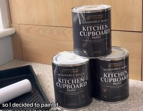 So she decided to do it herself, getting some kitchen cupboard paint to makeover the cupboards