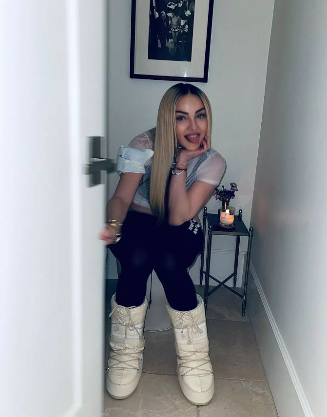 Madonna, pictured, appeared to be closing the door in her toilet photo