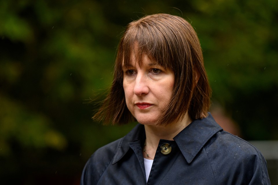 a woman wearing a black coat with a gold button on the collar