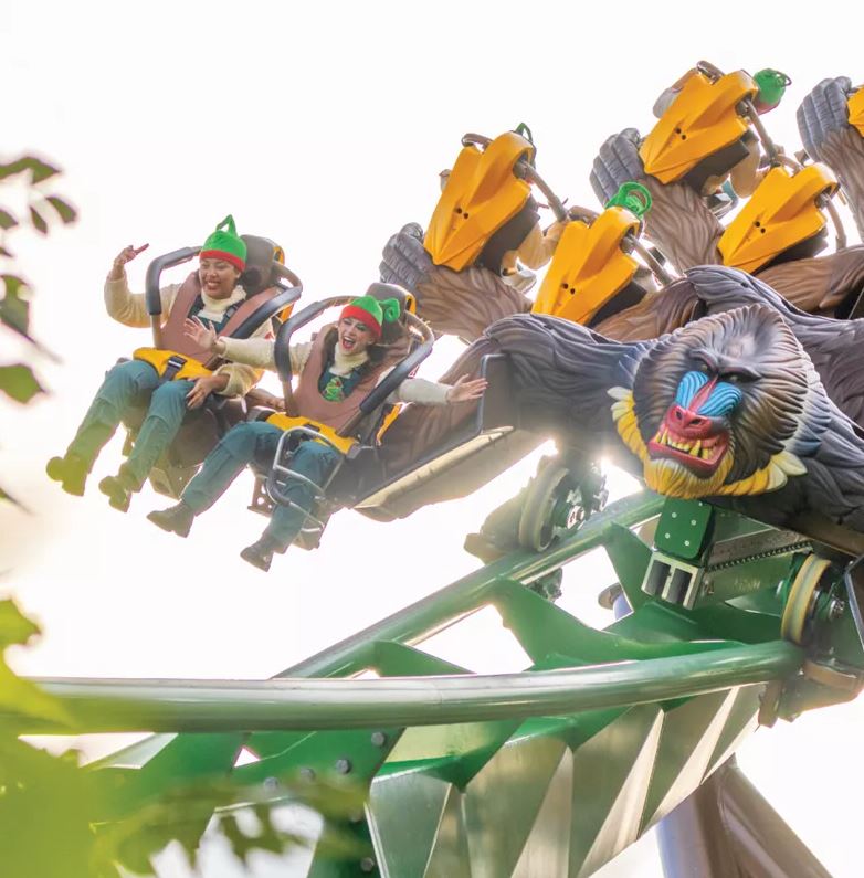 two people are riding a roller coaster with a baboon on it