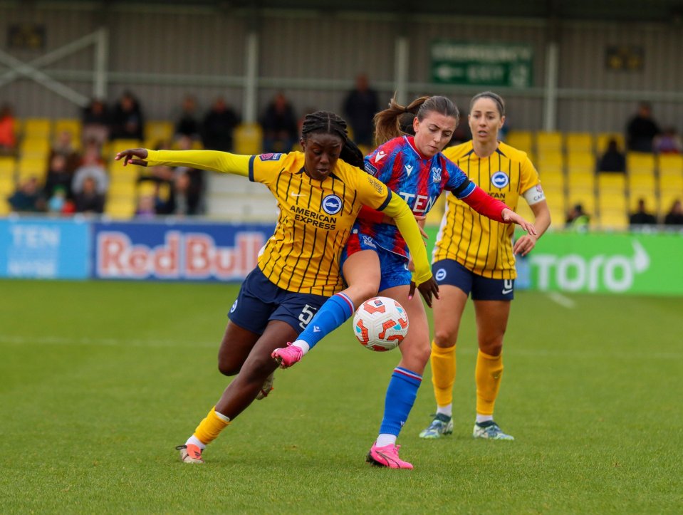 The Seagulls have registered three wins from their first four WSL games this term