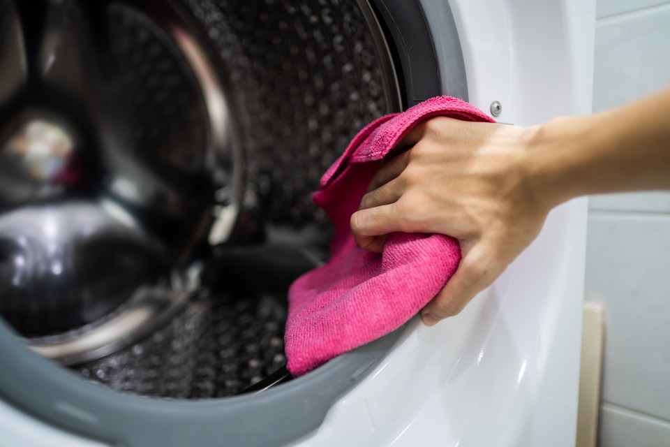 Your washing machine seal is notorious for mould and grime accumulation, as it's the last line of defence in keeping your appliance moisture-rich