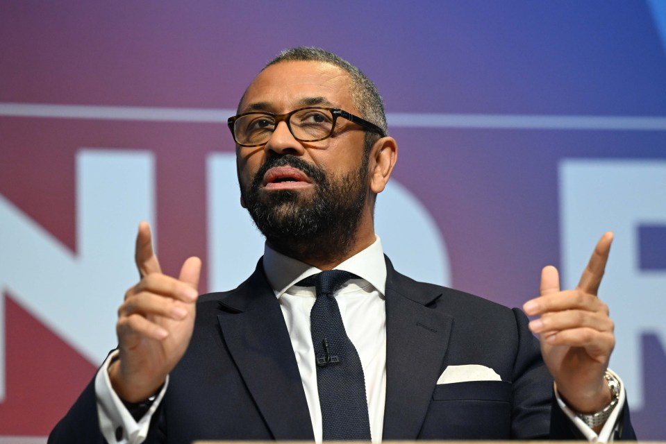 I am sad that James Cleverly, the candidate who frightened more than just Reform UK, did not make it to the final round of the Tory leadership contest