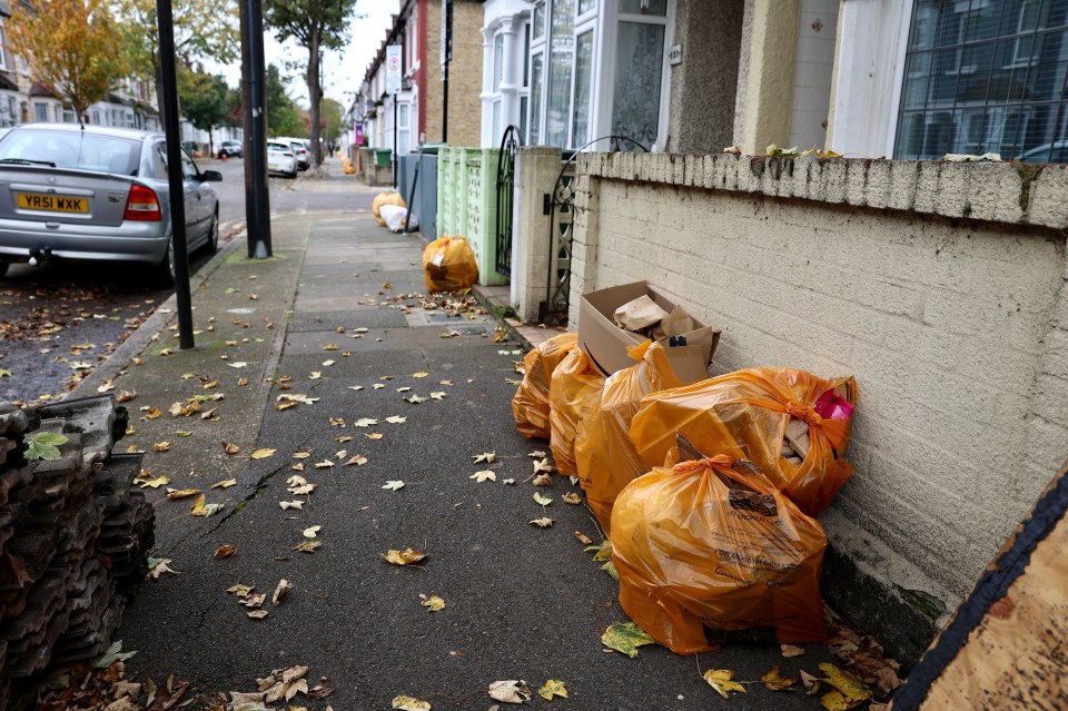 Ariane put her recycling bag out on the pavement on Monday rather than Tuesday evening