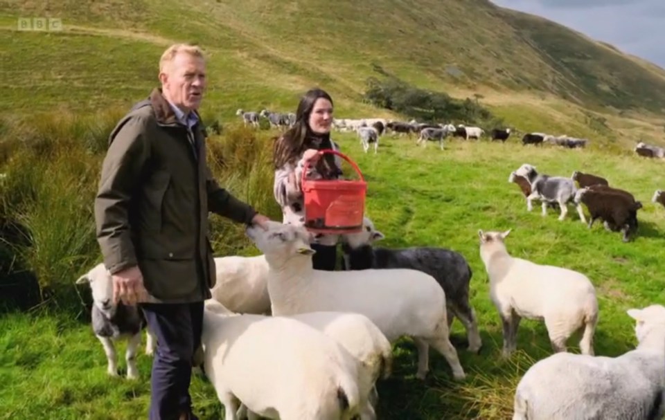 a man and woman are standing in a field of sheep with bbc written on the bottom