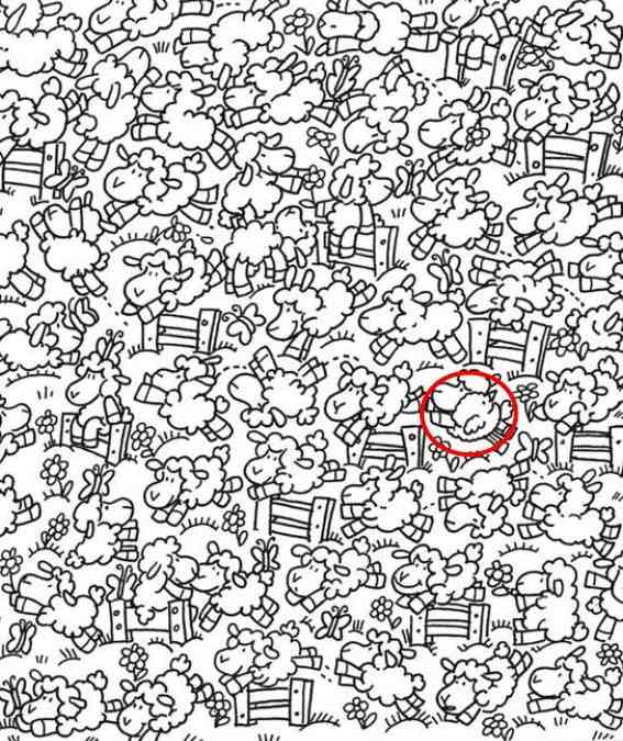 The hidden chick is circled in red Credit: Jagran Josh