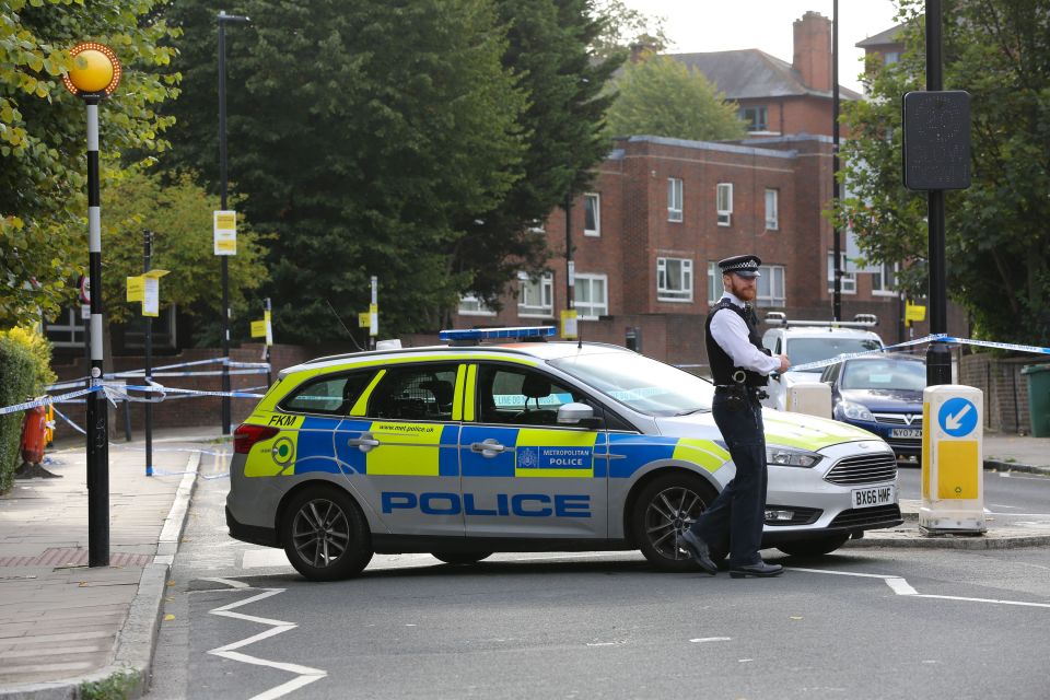 a police car is parked on the side of the road