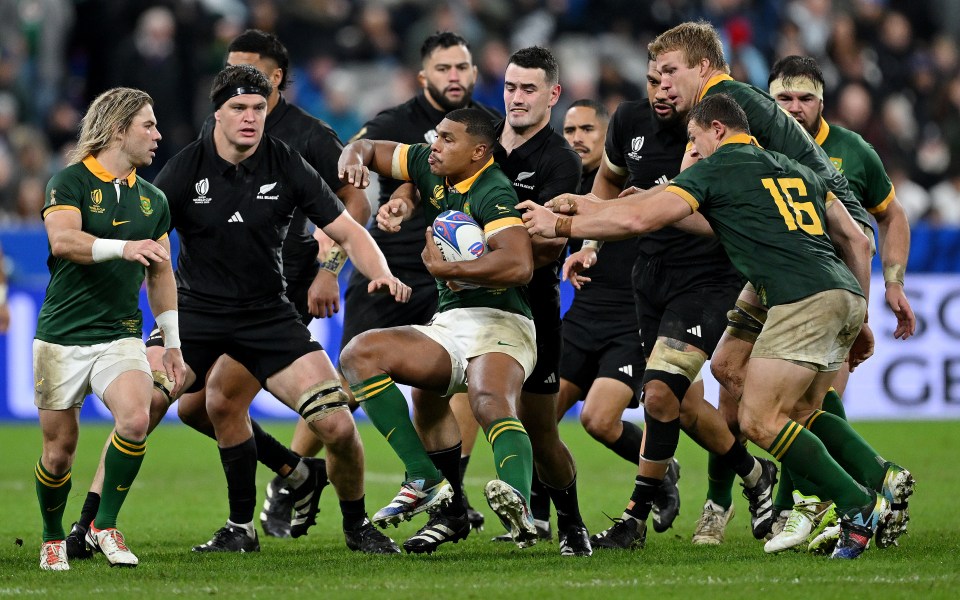 South Africa beat New Zealand in last year's Rugby World Cup final