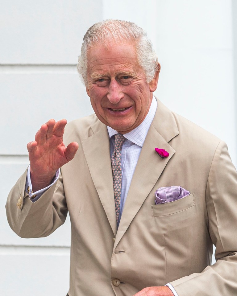 a man in a tan suit has a pink pin in his pocket