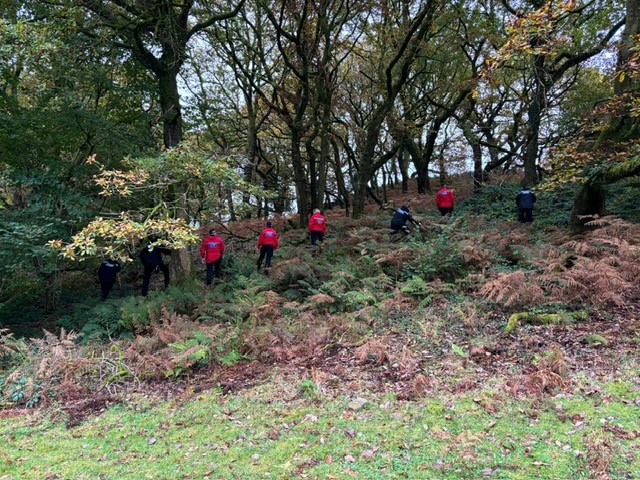 a group of people in red shirts are walking through the woods