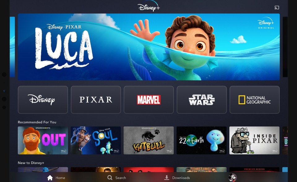 Disney+ is amazing – but ask yourself whether you need a subscription all year round