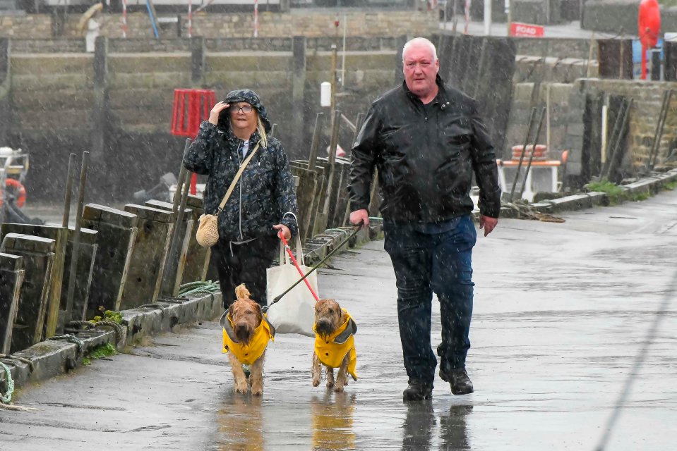 Dog walkers got soaked as they walk next to the harbour in the heavy rain at West Bay in Dorset, yesterday