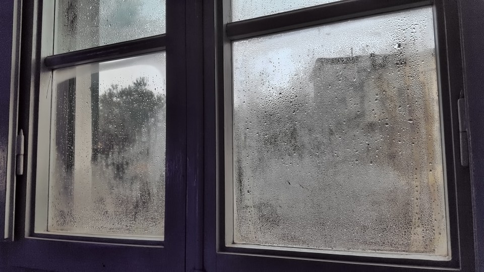 Lynsey Crombie shared her must-try tip for preventing window condensation (stock image)