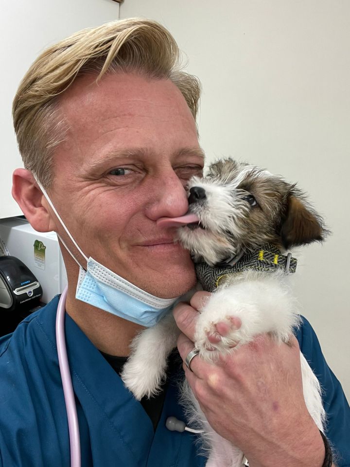 a man wearing a mask holds a puppy that is sticking its tongue out