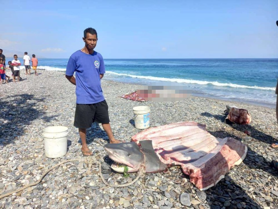 The woman's body was found by a fisherman inside a shark