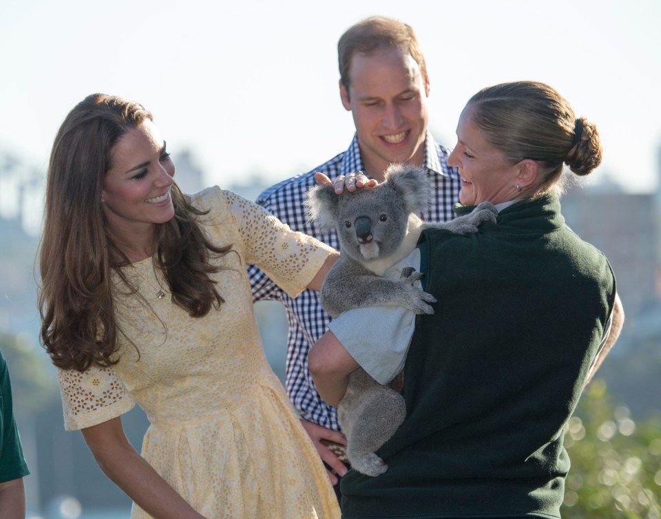 a woman holds a koala bear while a man and woman look on