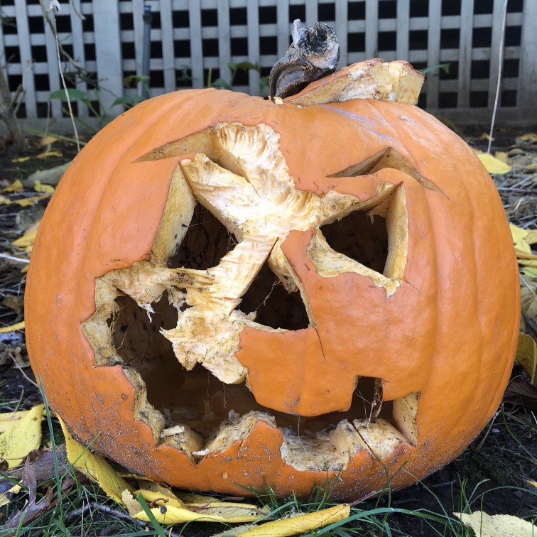 There are several things you can do with your old pumpkin