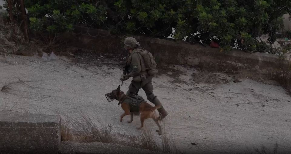 a soldier walking a dog that has a collar on it