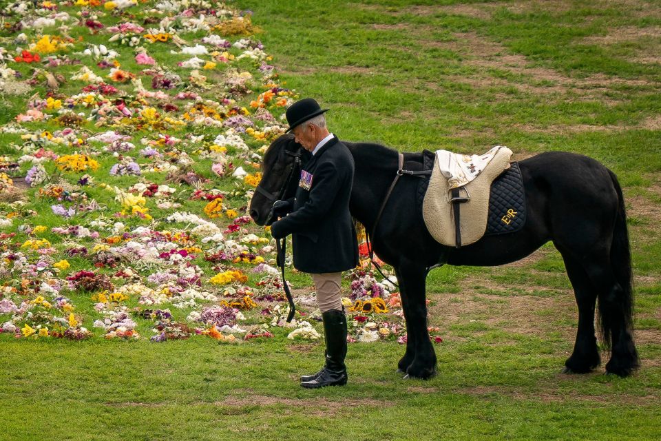 a man stands next to a black horse with a saddle that says rr on it